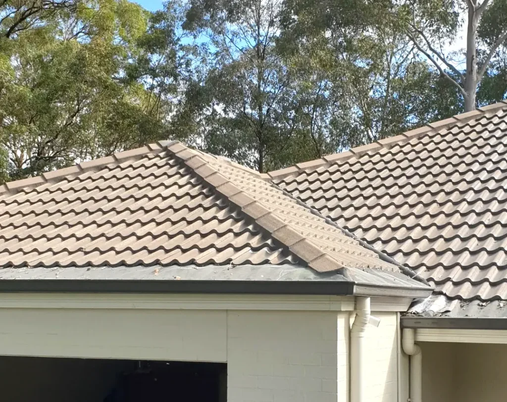Cement tile roof in East Maitland after professional roof cleaning