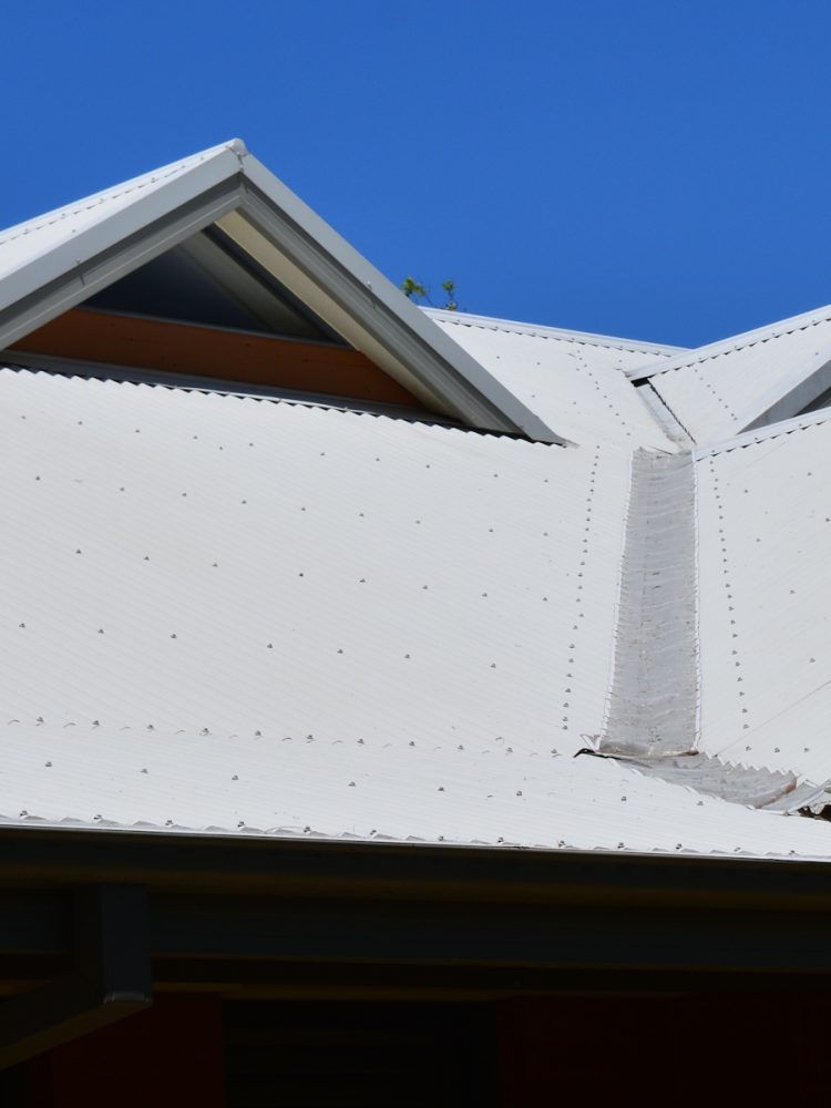 roof cleaning newcastle