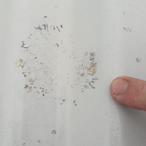 Lichen growth affecting the coating on a Colorbond roof surface